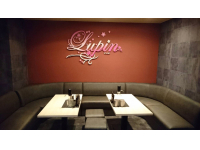 New Lounge Lupin